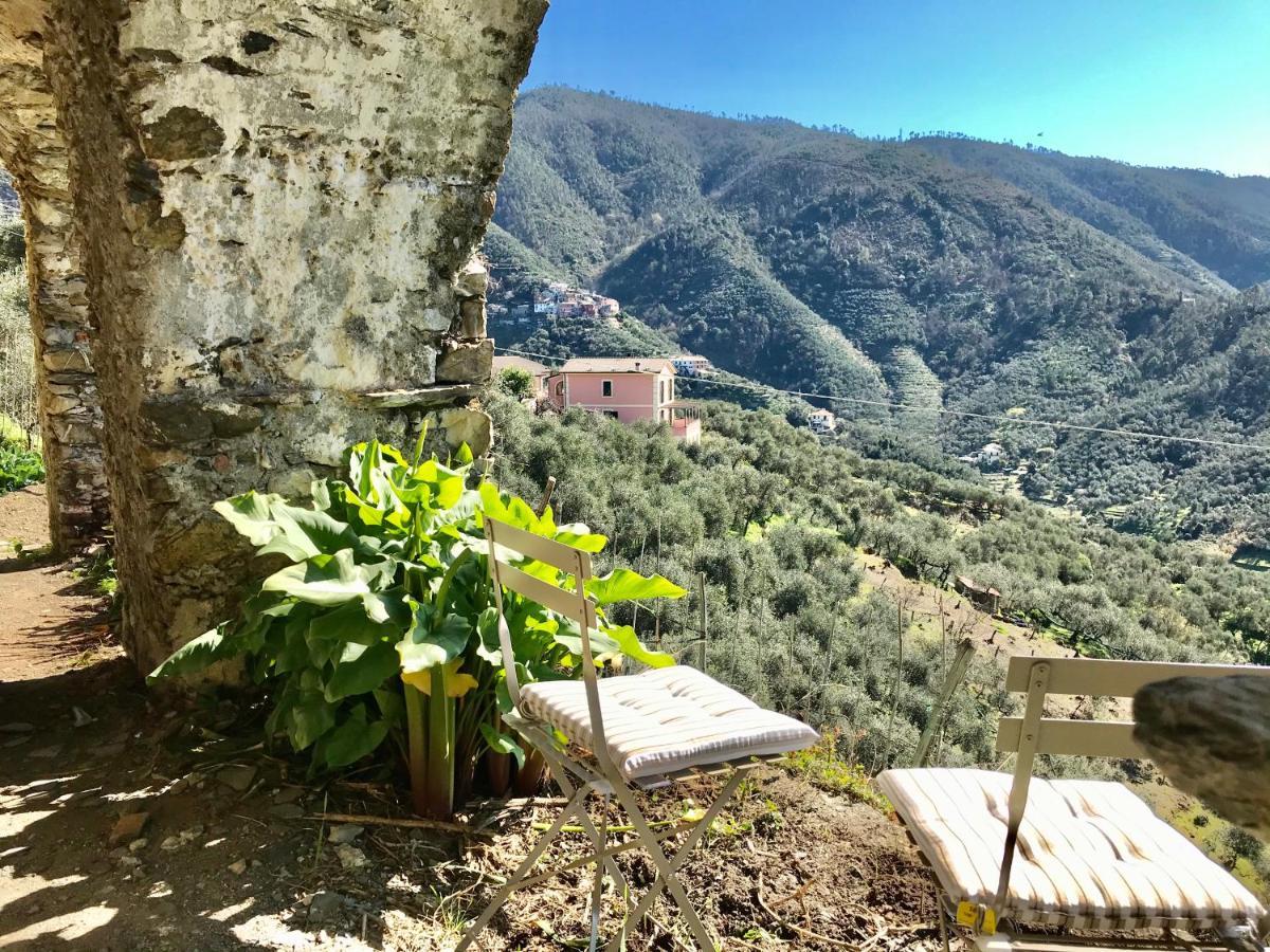 Agriturismo Sancristoforo Леванто Екстериор снимка